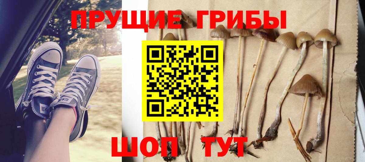 Галлюциногенные грибы Psilocybine cubensis  Вход с VPN  Рубцовск  Псилоцибиновые грибы мицелий 